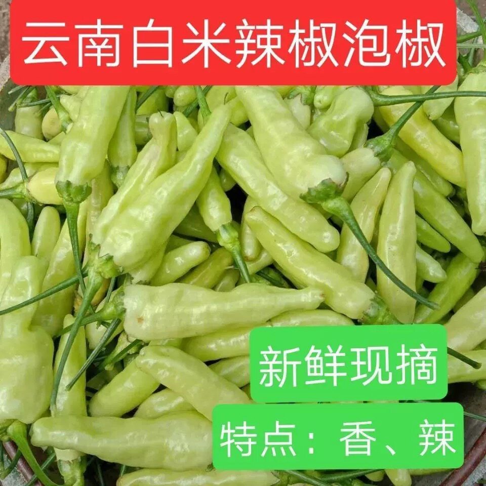 新鲜云南皱皮野山椒凤爪小米