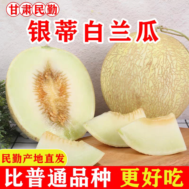 甘肃民勤脆甜爽口银帝白兰瓜