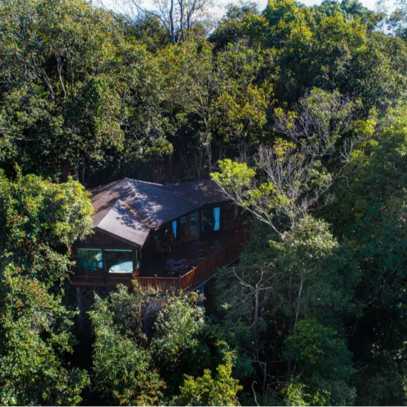 欢迎优美，超大的森林公园 亲子爆款，宝妈带娃出行好去处 网红打卡，熊猫互动，权益丰富