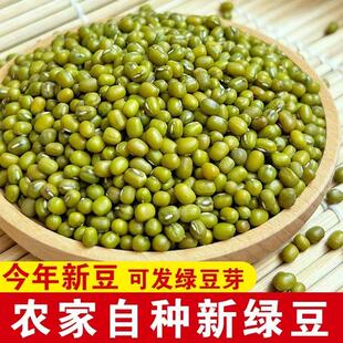 【抄底5斤】2025新鲜薄皮绿豆农家干货绿豆易出沙煮粥解暑绿豆汤