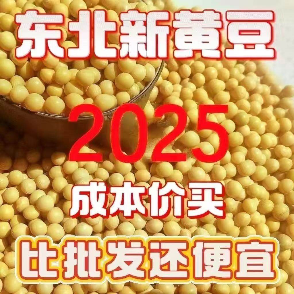 25年新黄豆20斤装黑龙江高蛋白豆腐大豆专用豆浆豆芽农家大豆批发