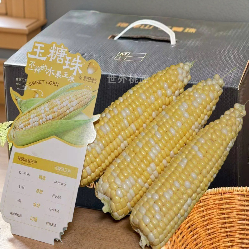 顺丰玉糖珠水果玉米花香生吃爆浆新鲜现摘云南非转基因棒苞谷礼盒
