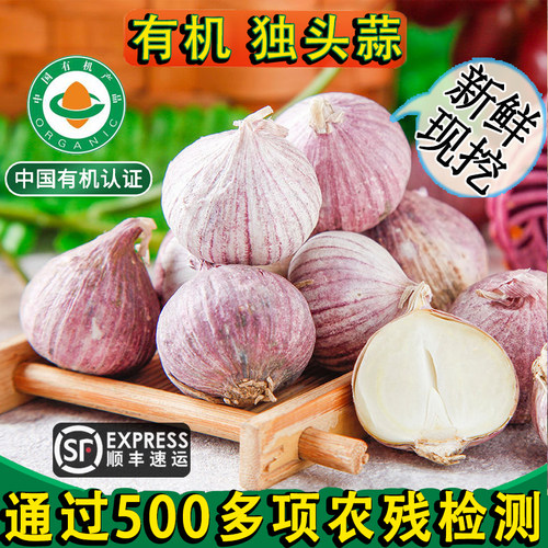 云南有机独头蒜新鲜现挖紫皮大蒜头果干蔬菜干蒜烹饪凉拌调味文山