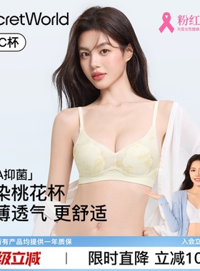 Secret World内衣女小胸聚拢无钢圈夏薄款凉感美背文胸罩2025新款