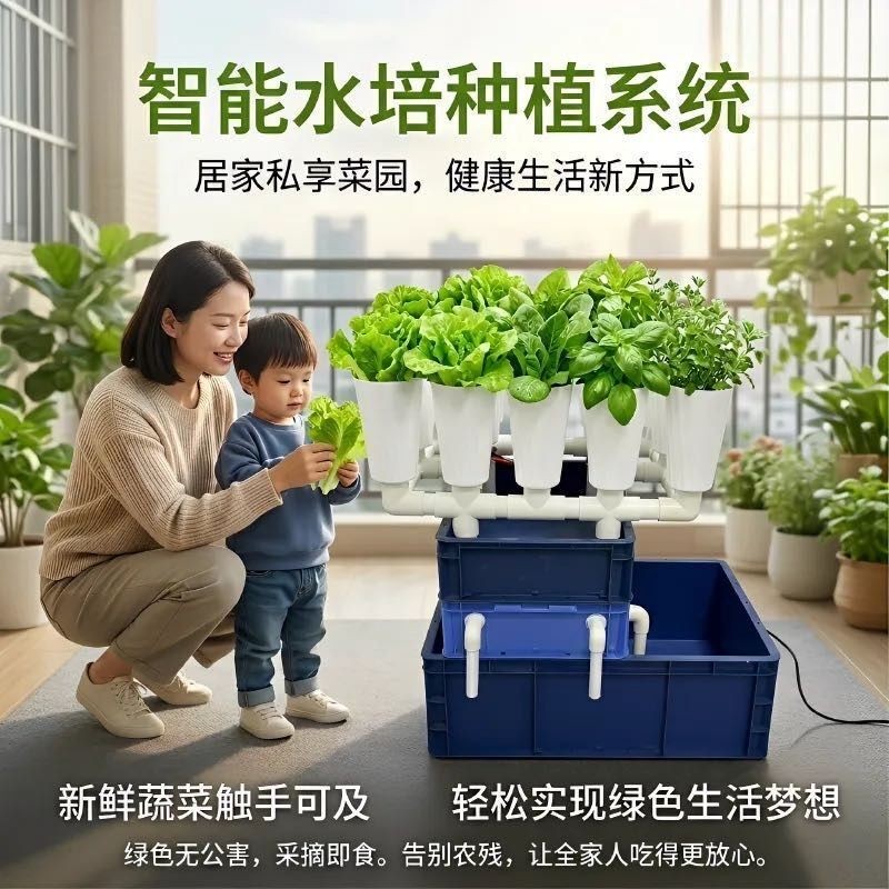 阳台秒变菜园鱼菜共生水培系统家过滤设备
