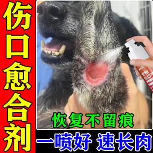 狗狗伤口愈合药宠物受伤化脓溃烂去腐生肌膏促进长肉术后外伤喷剂