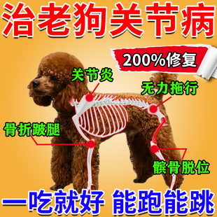 狗狗专用补钙药泰迪氨糖软骨素髌骨脱位关节炎腿瘸药骨折骨裂恢复