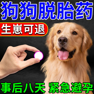 狗狗脱胎事后一粒紧急避孕