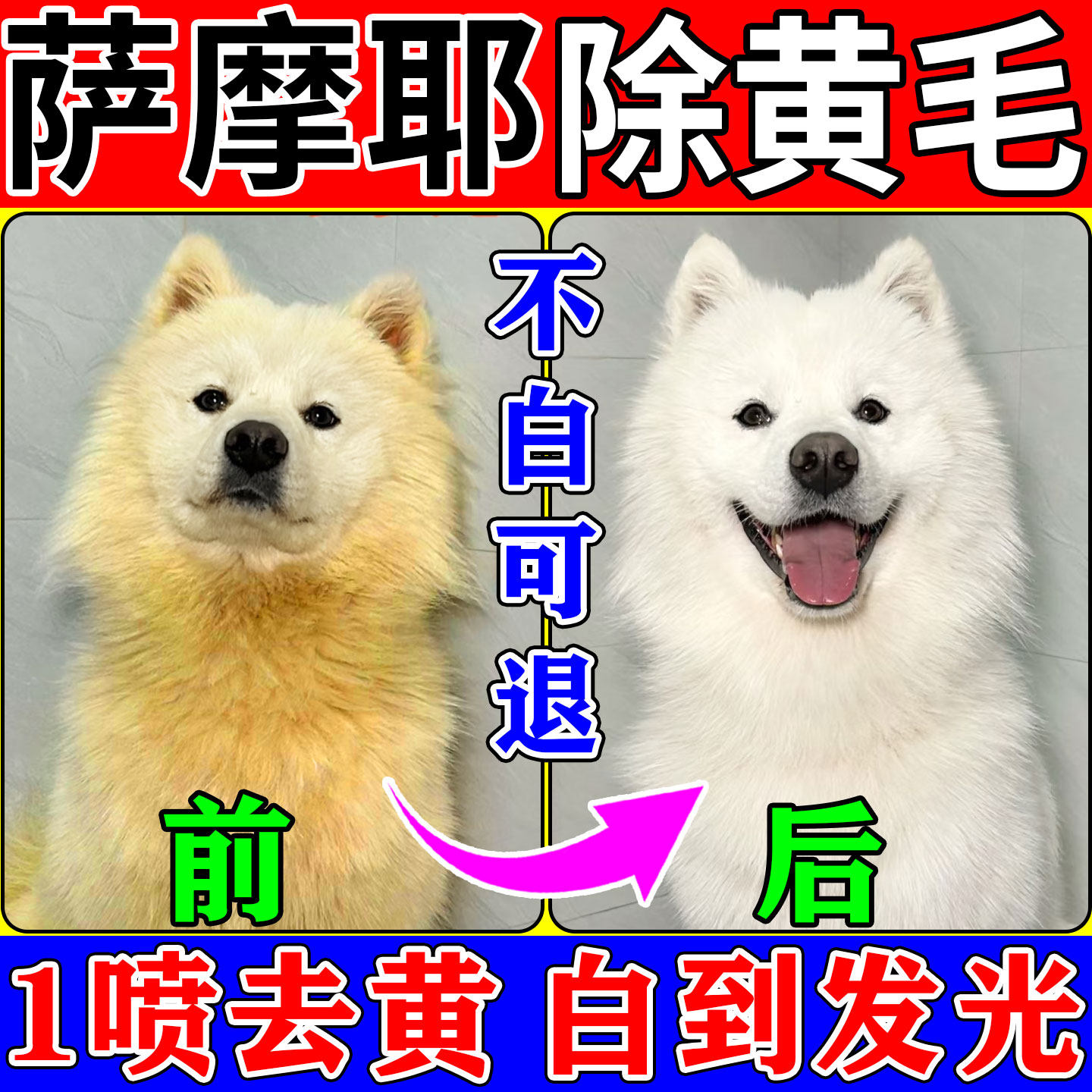 狗狗白毛去黄漂白剂宠物离子水毛发黄美白增白养护清洁神器专用剂