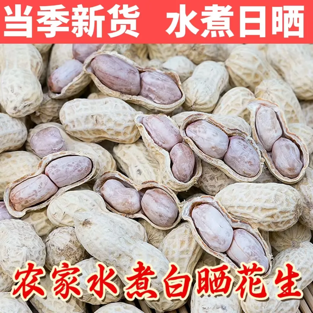 龙岩水煮白晒咸香花生有嚼劲花生