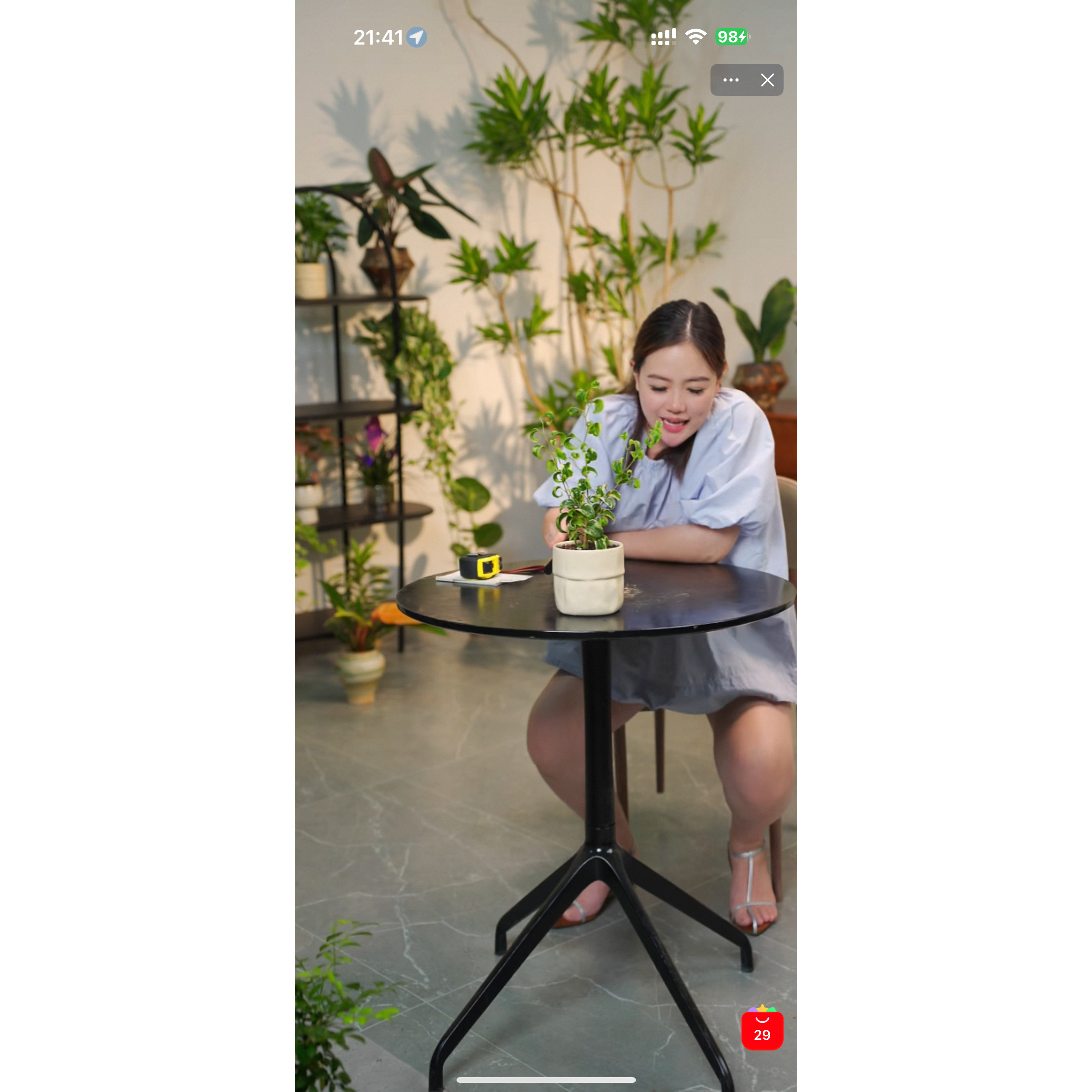 净化空气  美观