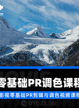 H13 影视PR后期调色视频课程 影视电影Vlog短视频调色教程 无素材