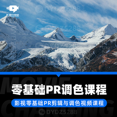 H13 影视PR后期调色视频课程 影视电影Vlog短视频调色教程 无素材