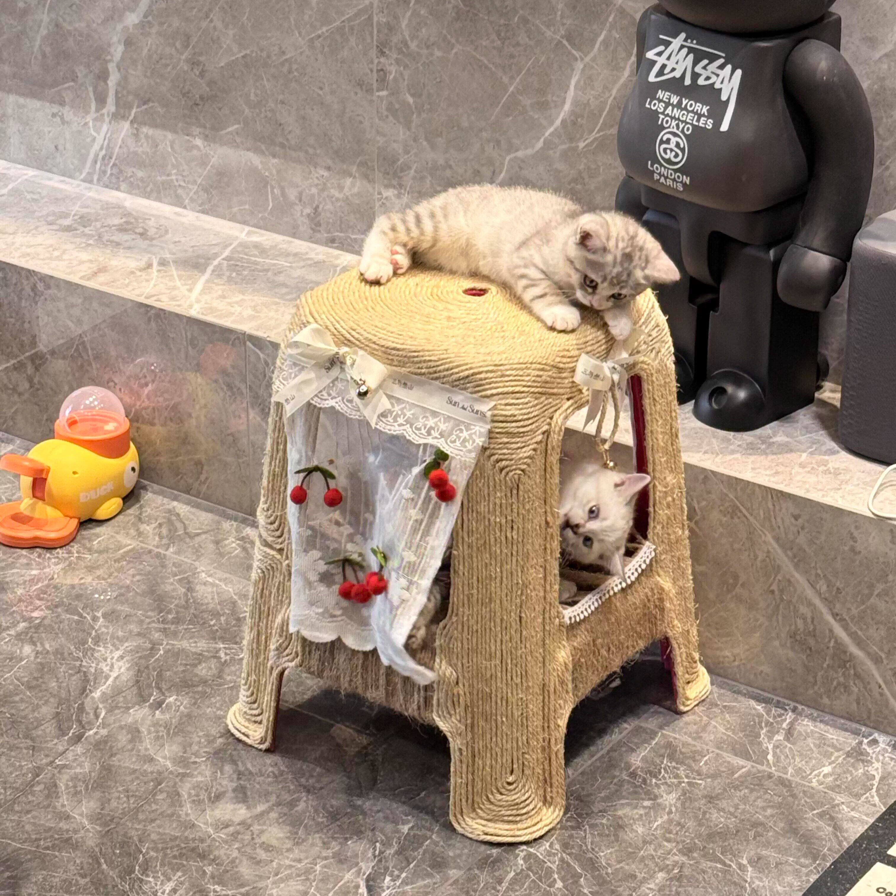 创意猫爬架家用diy手工猫抓板耐磨不掉屑废物利用自嗨解闷小玩具