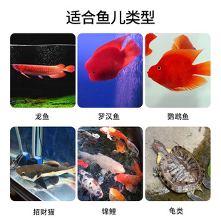 南极磷虾银龙鱼专用龙鱼饲料血鹦鹉罗汉发财热带鱼鱼食虾干鱼饲