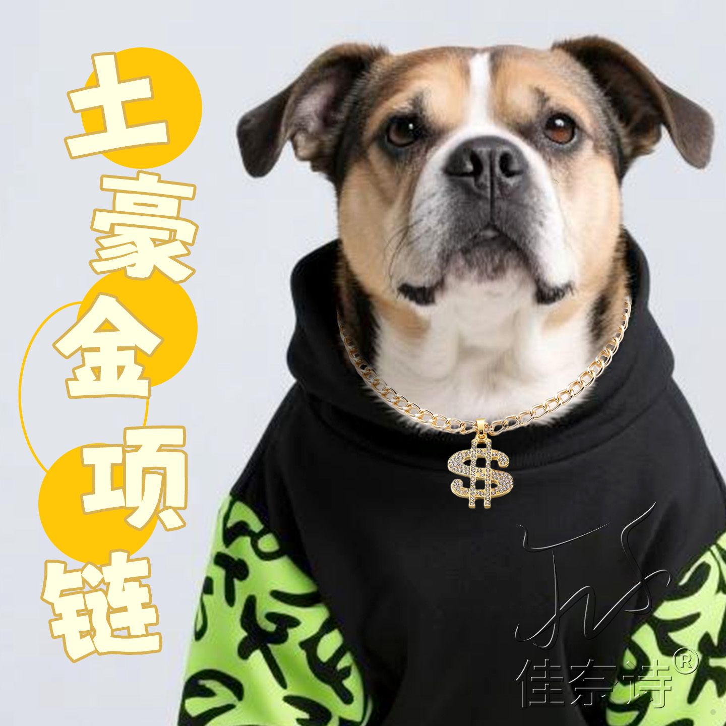 狗狗项链法斗大金银链子项圈
