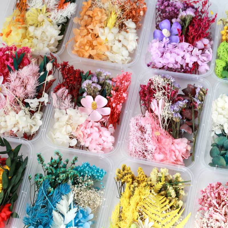 混合装手工diy干花材料 天然永生花材料包绣球花团扇相框蜡牌装饰