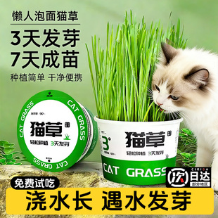 猫草盆栽养殖助懒人水化培盆子新鲜猫草种子全阶段官方正品猫零食