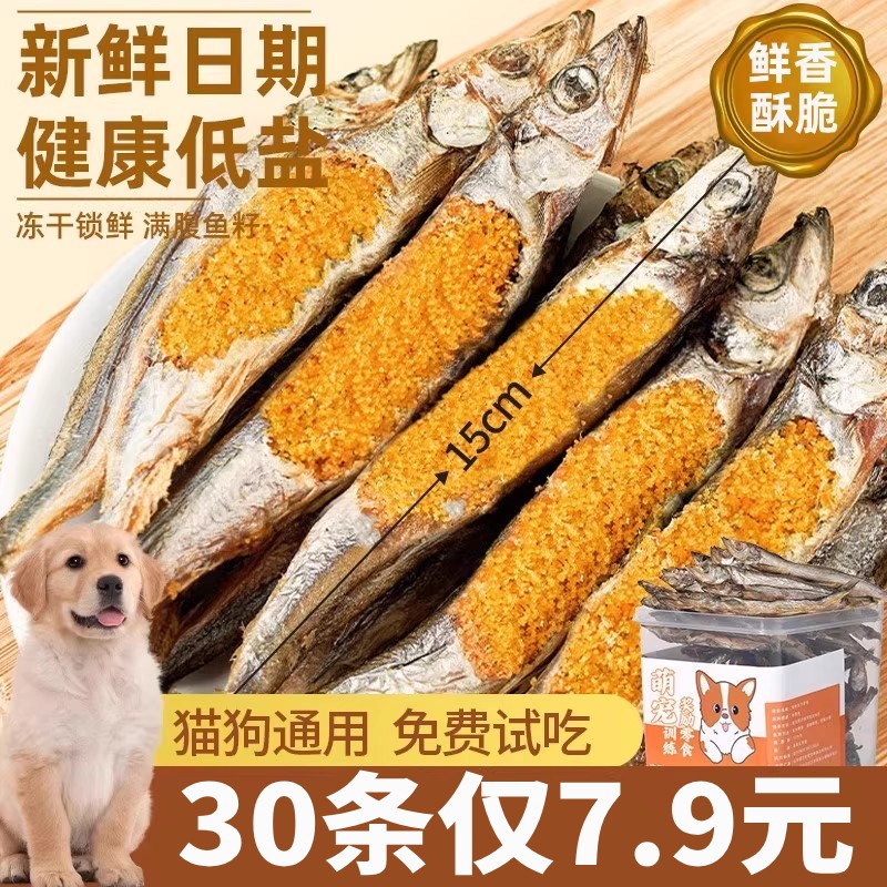 多春鱼冻干狗狗宠物零食小型犬幼狗粮主食满籽小鱼干磨牙狗零食罐