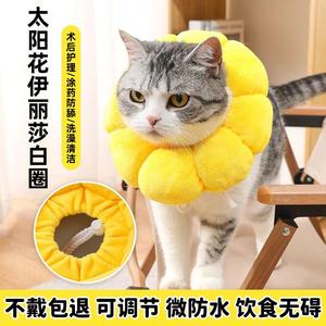伊丽莎白猫圈狗狗头套软耻辱圈防舔神器不影响吃饭绝育项圈防咬罩