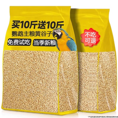 买10斤送10斤虎皮牡丹玄风黄谷子