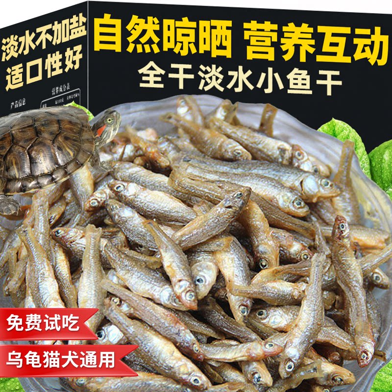 喂龟小鱼干龟粮鱼干虾干乌龟小鱼图片
