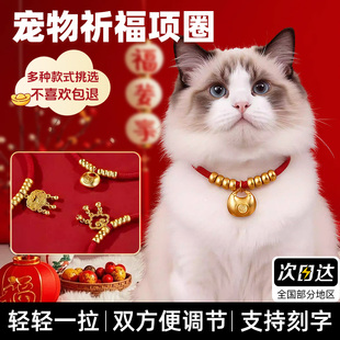 狗牌定制猫咪项圈高颜值无声长命锁红绳装饰配饰防走丢刻字吊牌圈