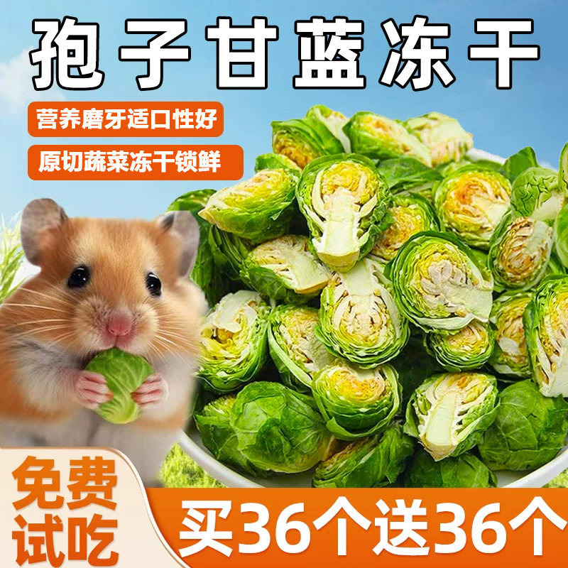 仓鼠粮食冻干孢子甘蓝营养拌粮