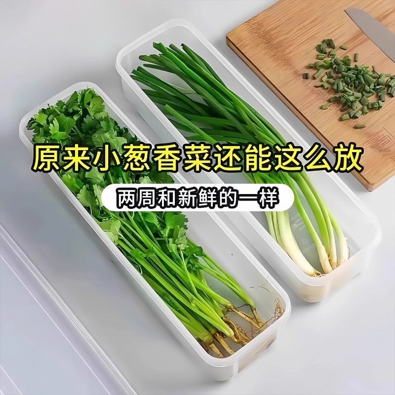 保鲜盒大葱香菜芫荽整根收纳
