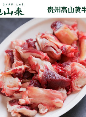 跑山来贵州黄牛筋头巴脑500g 鲜切新鲜现杀黄牛板筋牛杂有嚼头