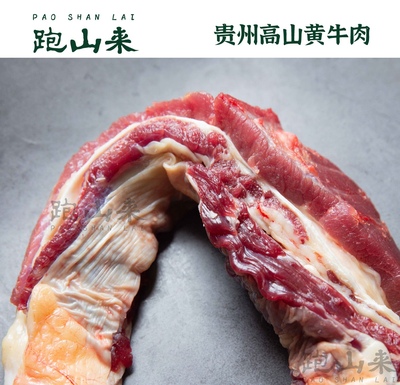 跑山来贵州黄牛肉牛腩500g 现杀整切鲜切牛五花炖牛腩崩沙腩爽腩