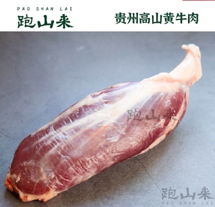放养金钱腱牛腱子前小腱卤牛肉卤牛腱 跑山来贵州黄牛牛小腱500g