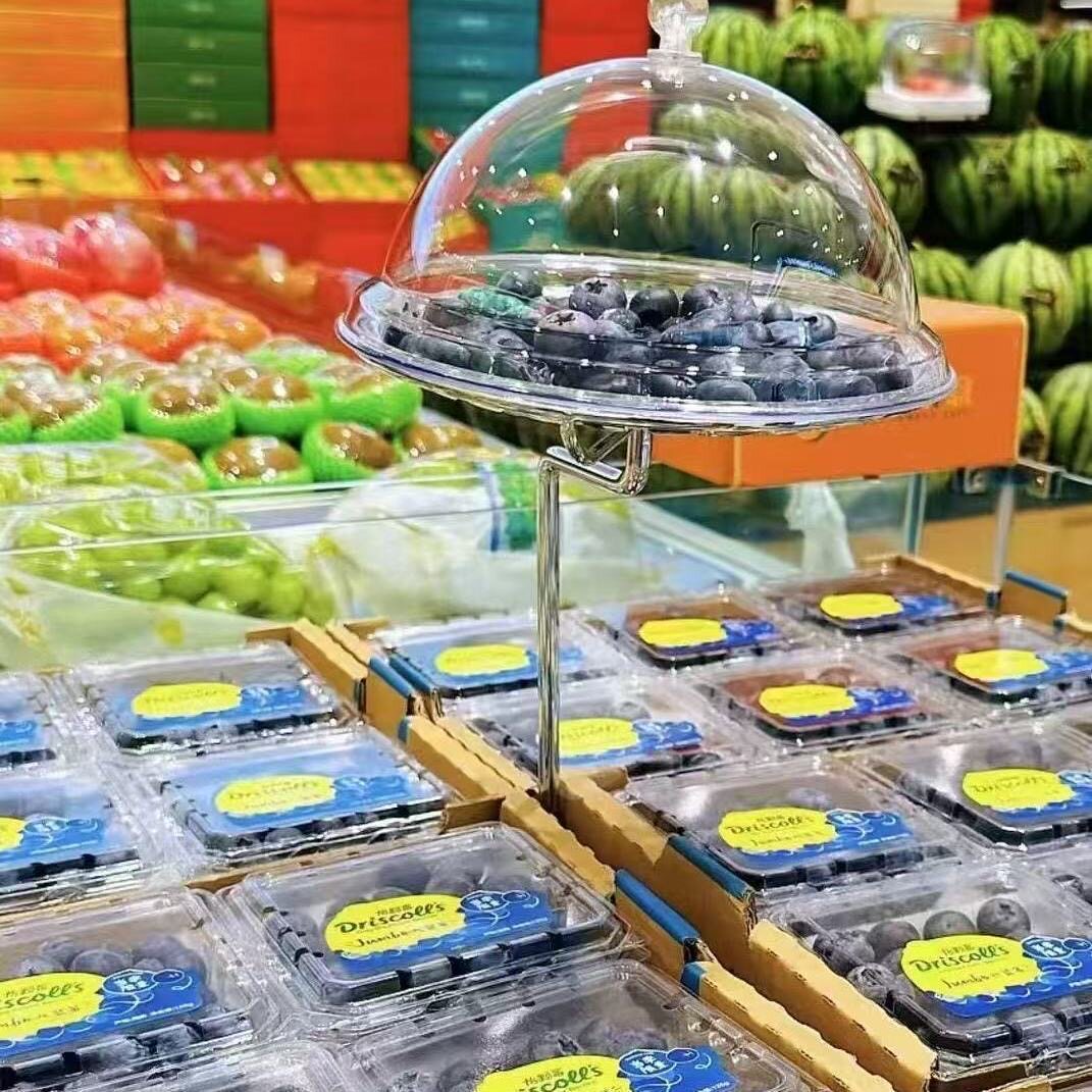 超市水果试吃展示架面包点心试吃台带冰盘保鲜盒生鲜食品试吃托盘