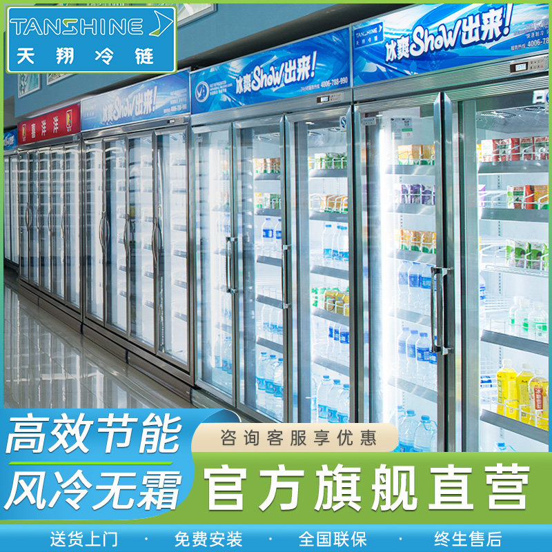 天翔冷链商用立式饮料冷藏展示柜 哑光银双门风冷式三门冷饮柜