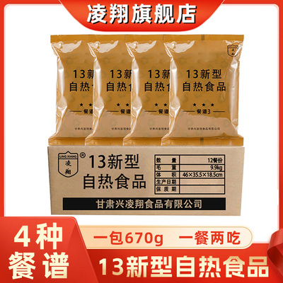 13新型自热户外速食炒饭凌翔