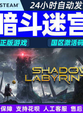 steam游戏 暗斗迷宫 Shadow Labyrinth 国区激活码CDK PC正版游戏