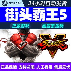 PC中文Steam 街霸5 街头霸王5 Street Fighter V 国区CDK激活码