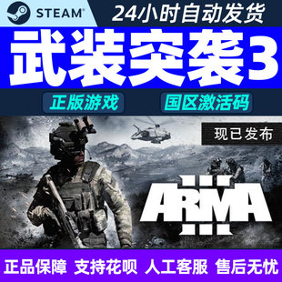 PC中文 steam 武装突袭3 Arma 3 国区 激活码cdkey 正版游戏