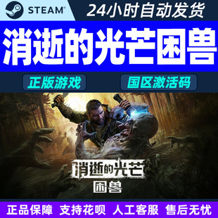 steam消逝的光芒 困兽 激活码CDKey Dying Light 国区 PC游戏正版