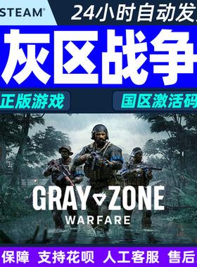 steam游戏 灰区战争 Gray Zone Warfare 国区激活码CDKey PC游戏