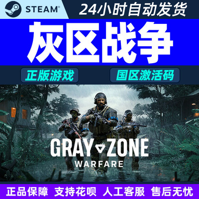steam游戏 灰区战争 Gray Zone Warfare 国区激活码CDKey PC游戏