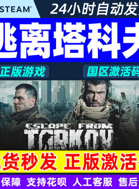 Steam 逃离塔科夫 Escape from Tarkov 国区激活码CDKey PC游戏
