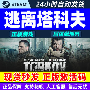 from Escape Tarkov 国区激活码 PC游戏 Steam CDKey 逃离塔科夫
