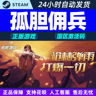 PC正版 孤胆佣兵 游戏 CDKey Son 国区激活码 steam Gun