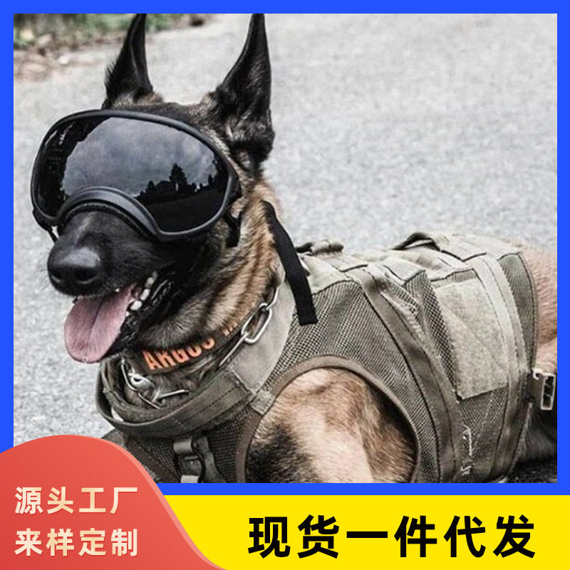 警犬福仔护目镜宠物用品眼镜狗狗太阳镜中大型犬墨镜警犬军犬眼镜