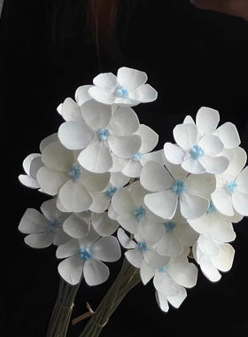 紫罗兰干燥花花束永生花