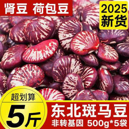 东北斑马豆25年农家新货肾豆小荷包状元豆紫花芸豆类五谷杂粮粗粮