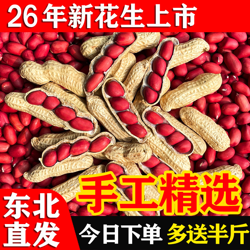 东北带壳红皮花生新货生熟可选										