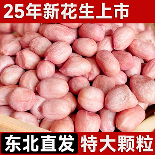 东北白沙花生米25年农家新货不带壳大颗粒新鲜粉皮花生仁散装 商用
