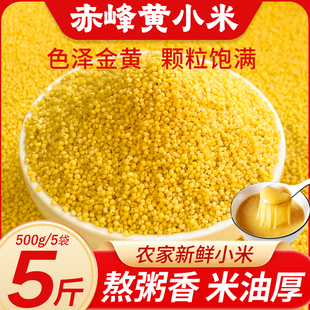 正宗赤峰金苗K1黄小米5斤25年农家新鲜米早餐小米粥五谷杂粮粗粮